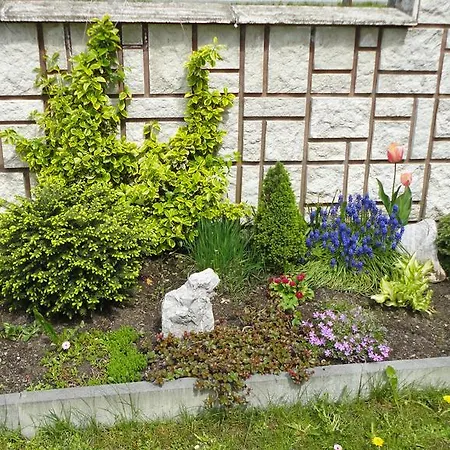 Antonia 哈沃福卡