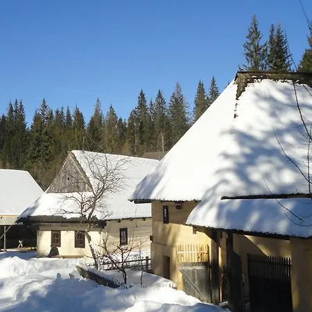 Antonia 哈沃福卡